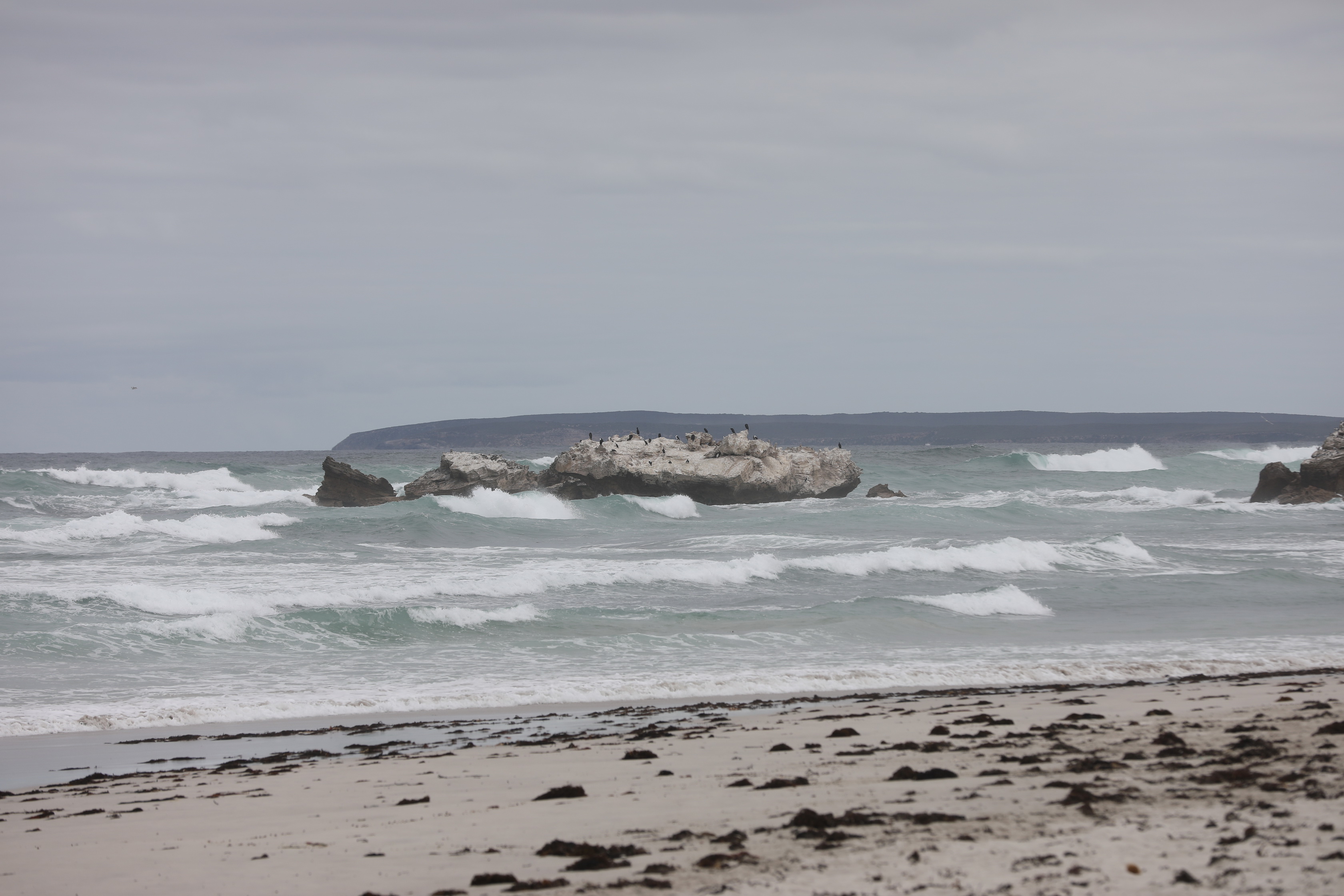 2019 09 29 12 31 07 Canon EOS 5D Mark IV 0018